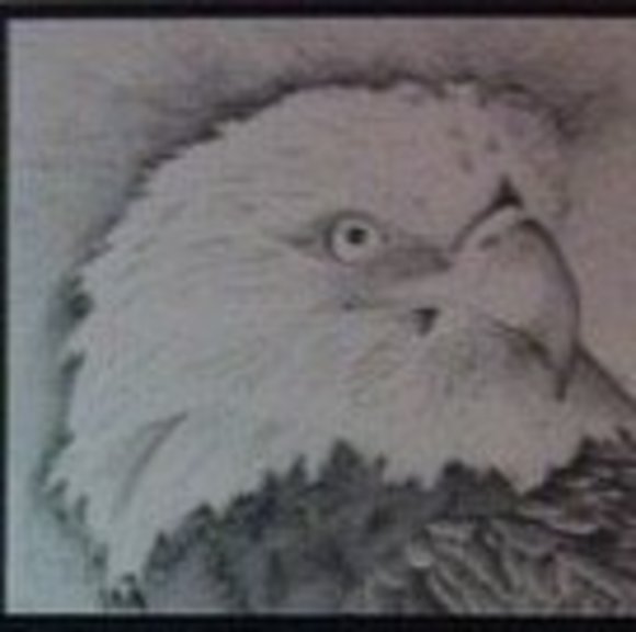 Meet your Posher, Dallas - Picture 1 of 1